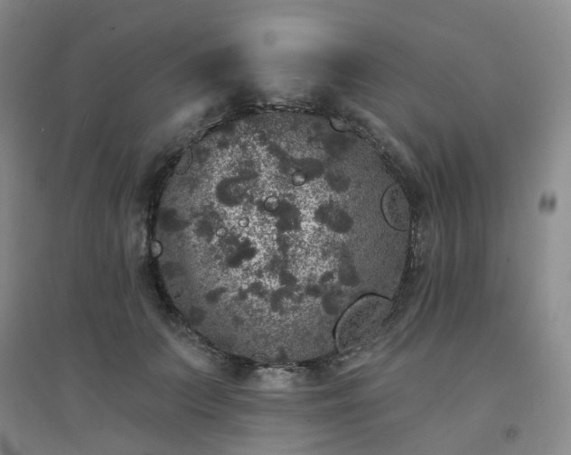 X0000094440703200711151405