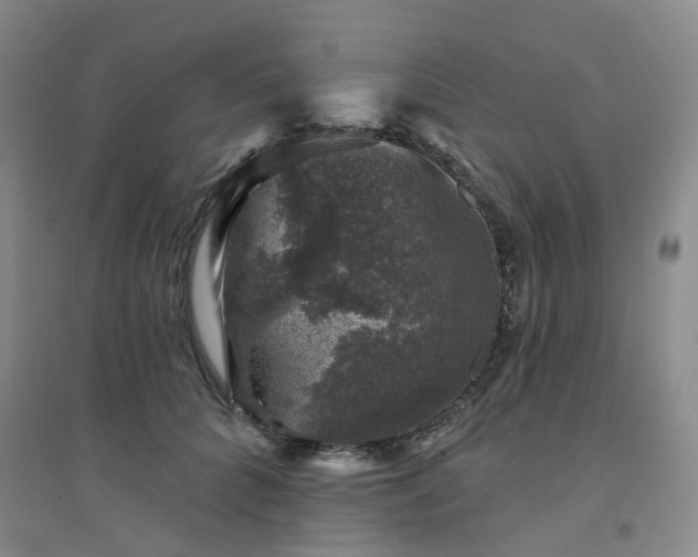 X0000094440704200711151405
