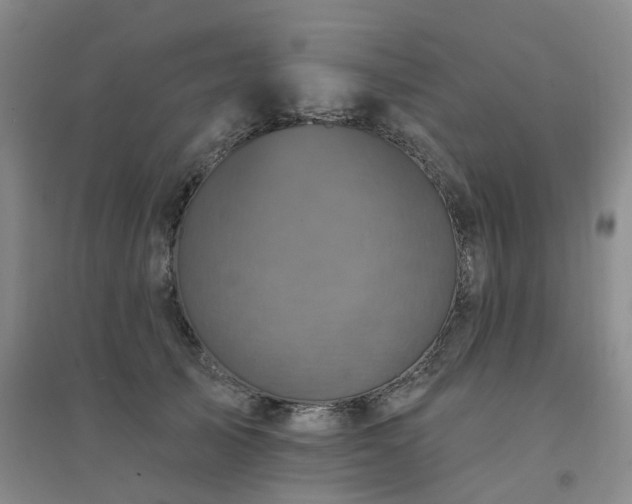 X0000094440705200711151405