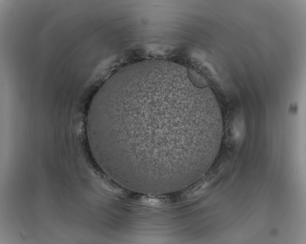 X0000094440706200711151405