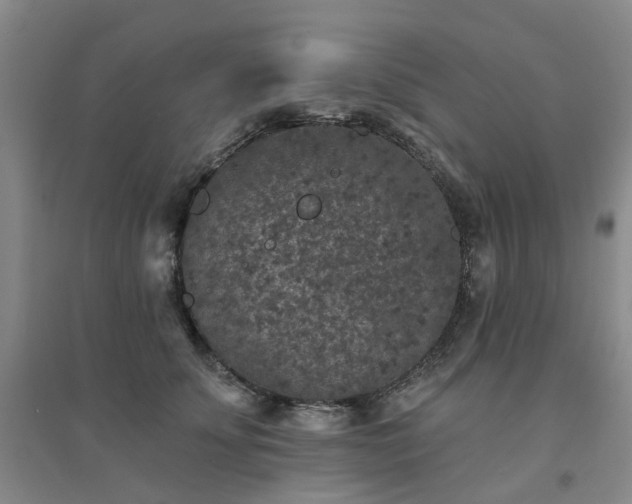 X0000094440707200711151405