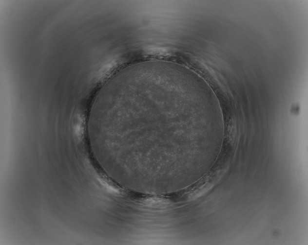X0000094440708200711151405
