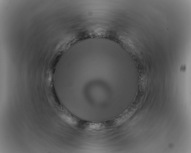 X0000094440709200711151405