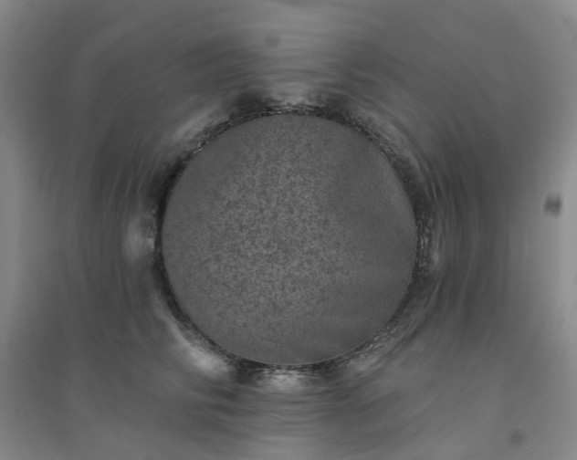 X0000094440710200711151405