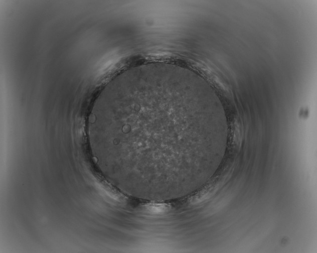 X0000094440711200711151405