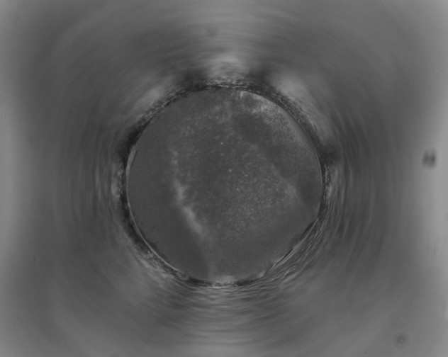 X0000094440712200711151405