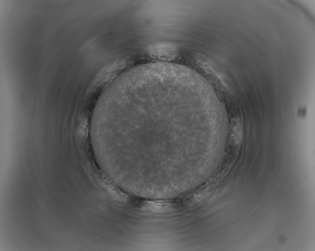 X0000094440713200711151405