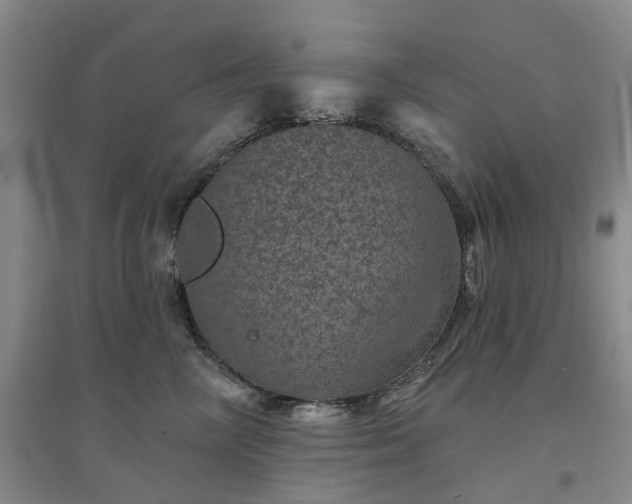 X0000094440714200711151405