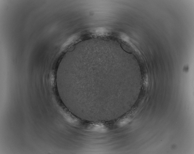 X0000094440715200711151405