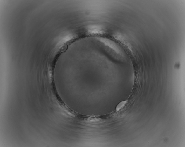 X0000094440716200711151405