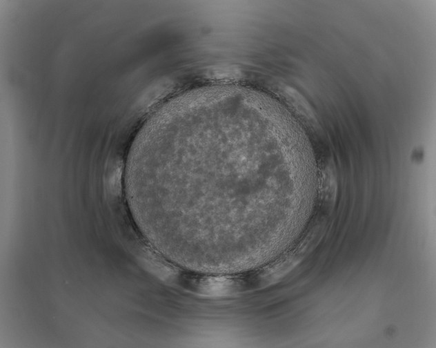 X0000094440717200711151405