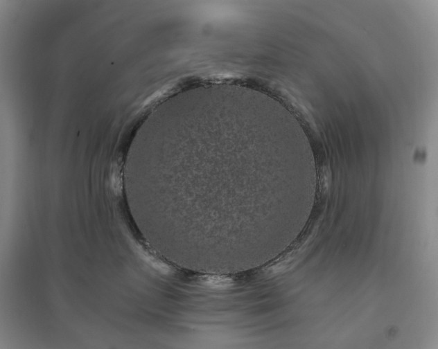 X0000094440719200711151404