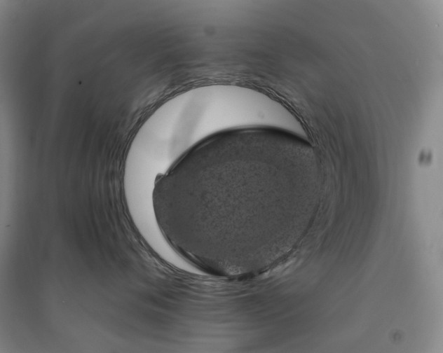 X0000094440720200711151404