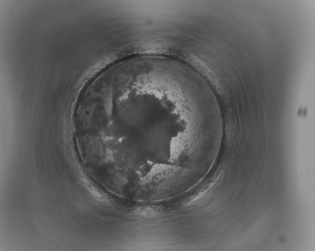 X0000094440721200711151404