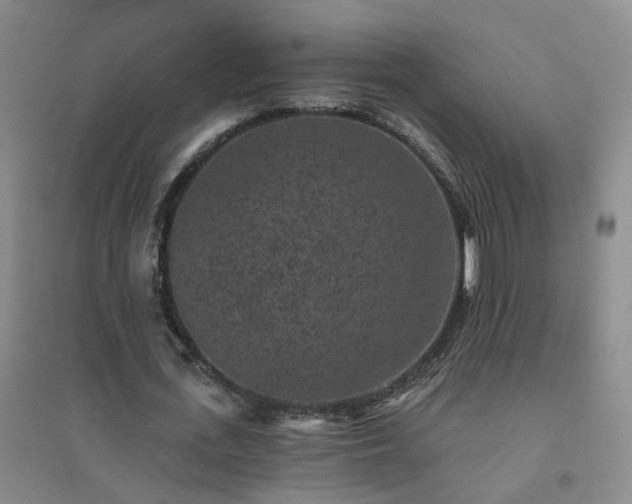 X0000094440723200711151404