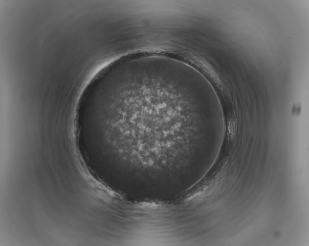 X0000094440724200711151404