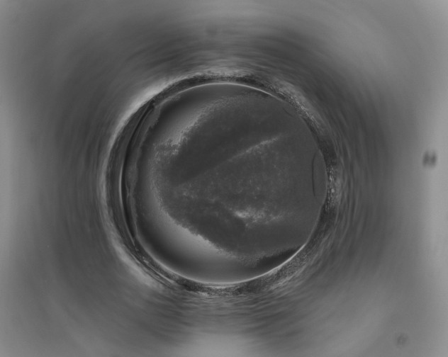 X0000094440726200711151404