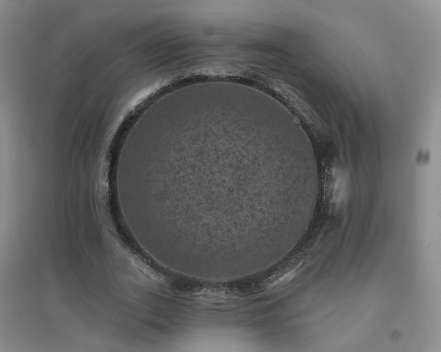X0000094440727200711151404