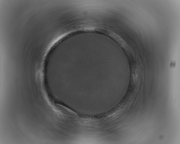 X0000094440728200711151404