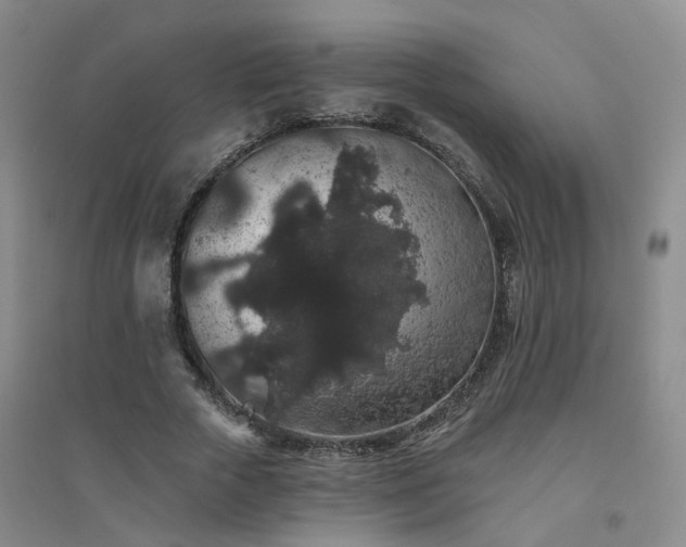 X0000094440729200711151404