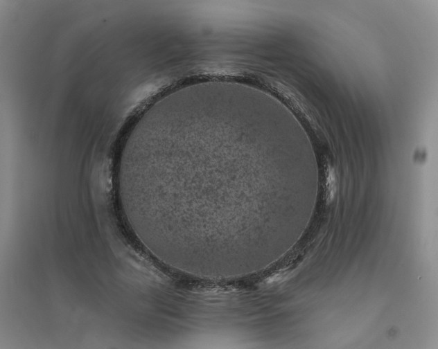 X0000094440731200711151404
