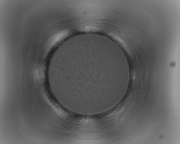 X0000094440735200711151404
