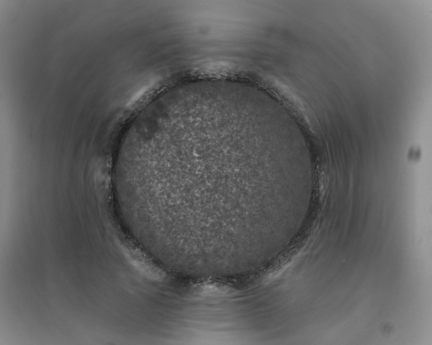 X0000094440737200711151404