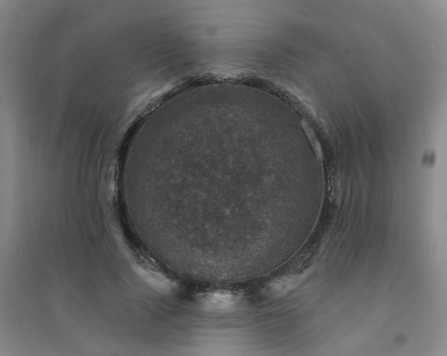 X0000094440740200711151404