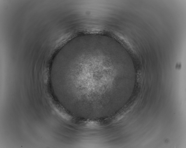 X0000094440741200711151404