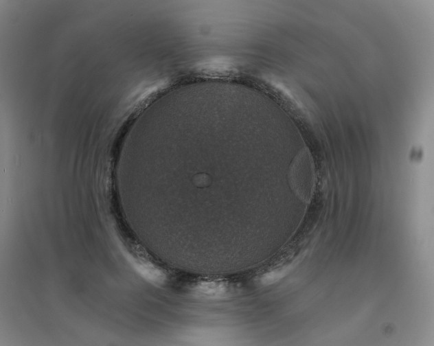 X0000094440744200711151404