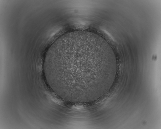 X0000094440745200711151404