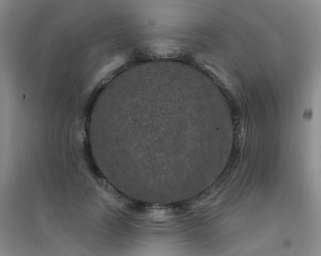 X0000094440746200711151404