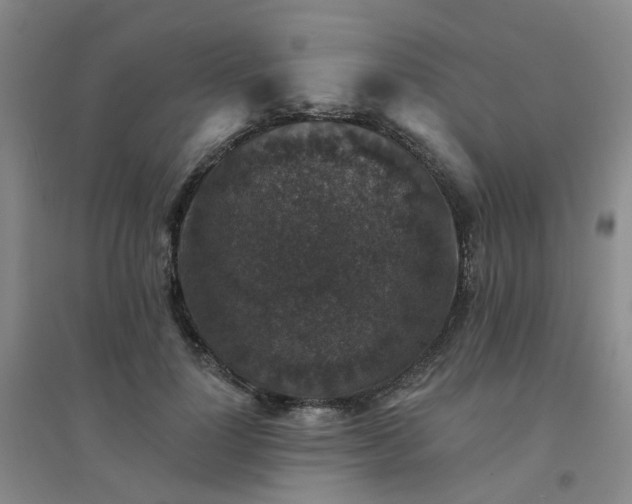 X0000094440748200711151404
