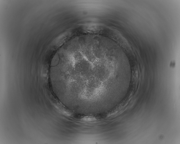 X0000094440749200711151404