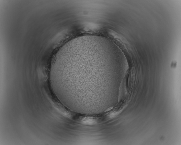 X0000094440751200711151404