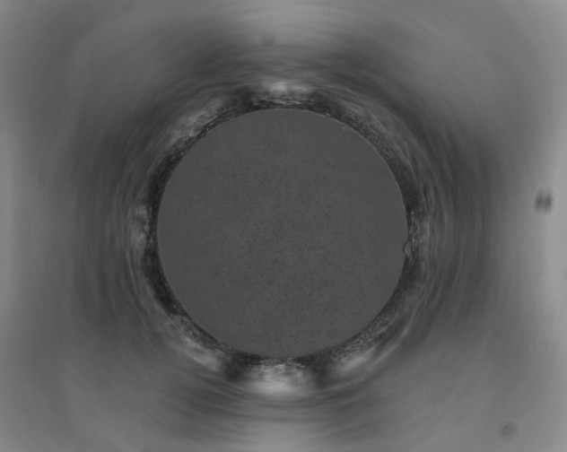 X0000094440752200711151404