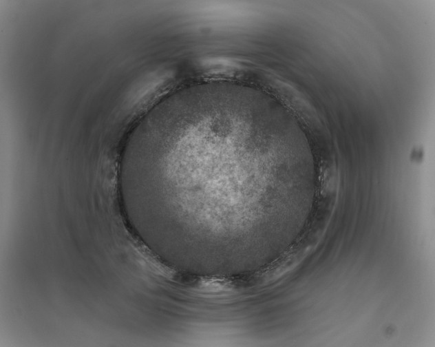 X0000094440753200711151404