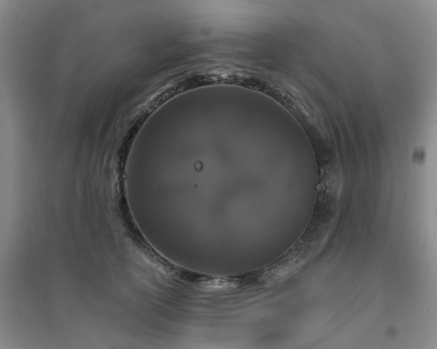 X0000094440754200711151404