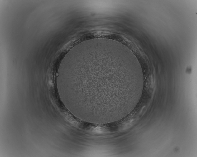 X0000094440755200711151404