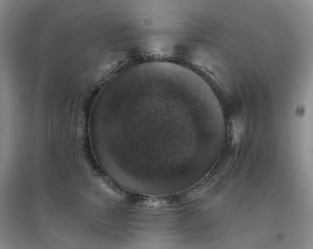 X0000094440760200711151404