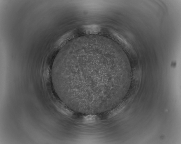X0000094440761200711151404