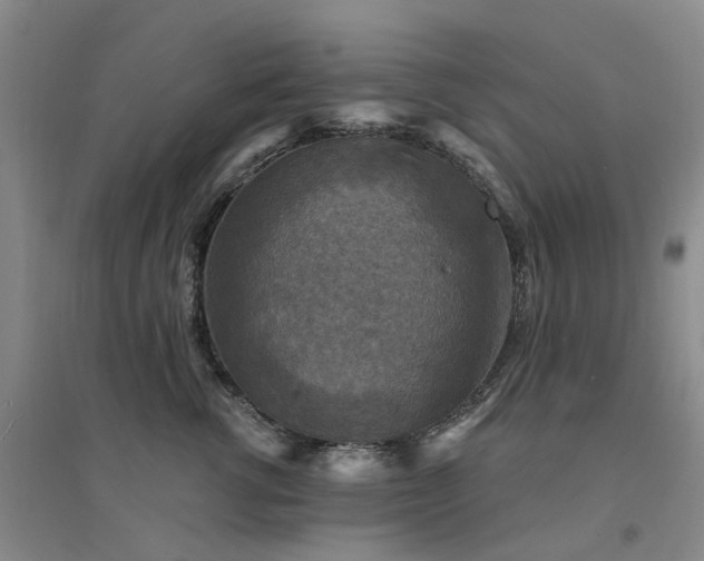 X0000094440762200711151404