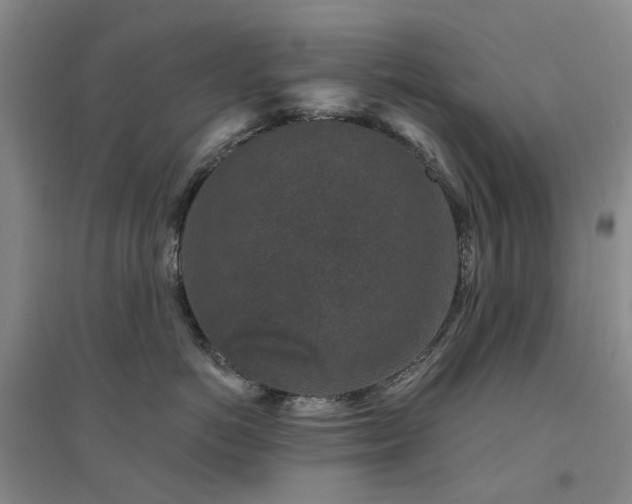 X0000094440766200711151404