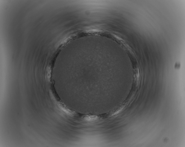 X0000094440767200711151404