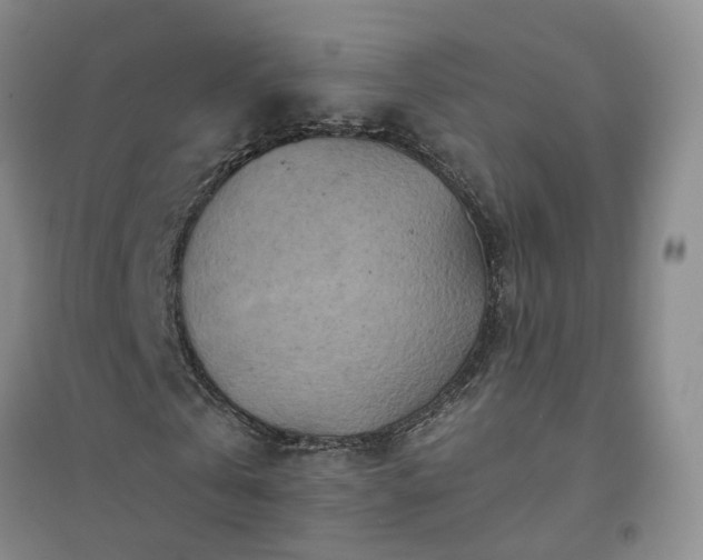 X0000094440769200711151404