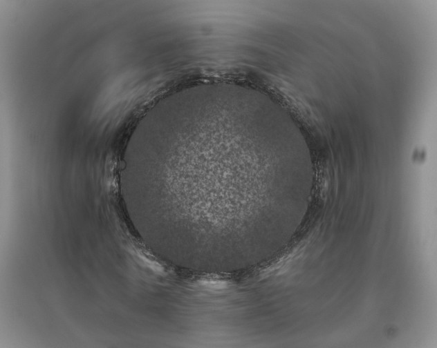 X0000094440770200711151404