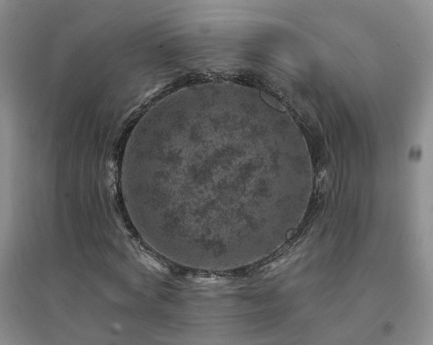 X0000094440772200711151404