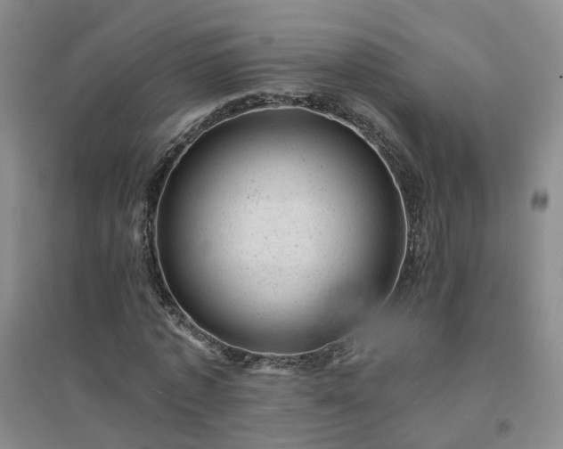 X0000094440773200711151404