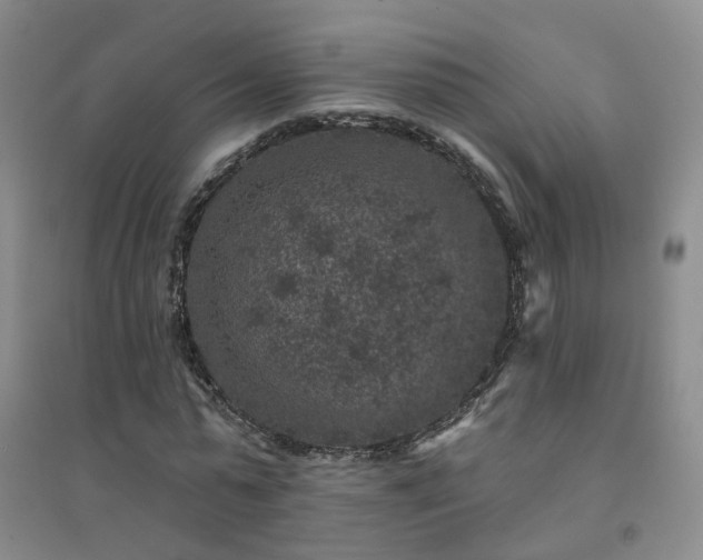 X0000094440775200711151404