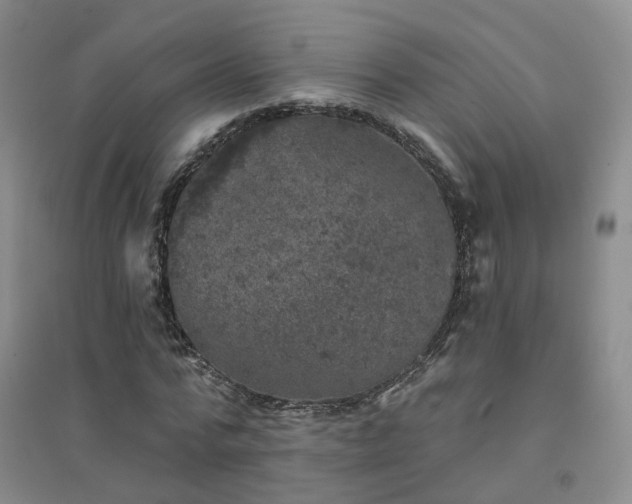 X0000094440776200711151404
